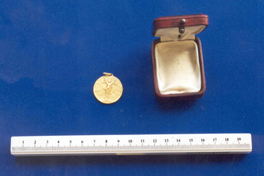 Medal - French World War I military service medal awarded to FJ Browne, c.1914-1918, A. Mayeur, 1918