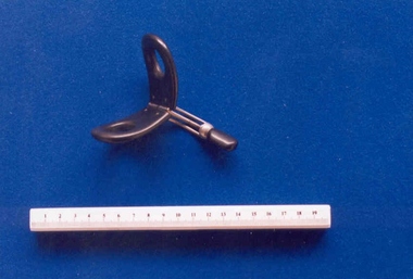 Zwanke stem pessary associated with Dr Frank Forster