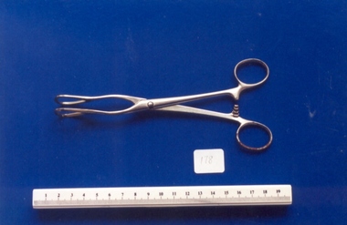 Tool - Guy's tongue forceps used by Dr Mitchell Henry O'Sullivan, 1930 (approximate)