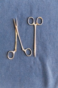 Artery forceps used by Dr Lorna Lloyd-Green