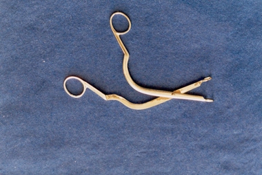 Luc nasal forceps used by Dr Lorna Lloyd-Green
