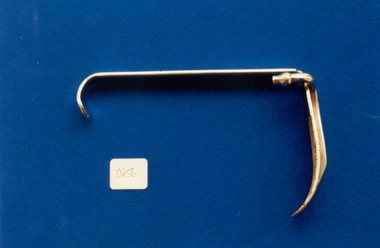 Tool - Tongue depressor with anaesthetic tube attachment used by Dr Lorna Lloyd-Green