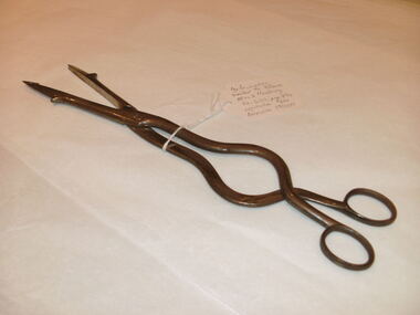 Perforator, similar to Holmes