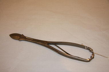 Perforator, Naegeli's