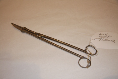 Perforator, Denman's