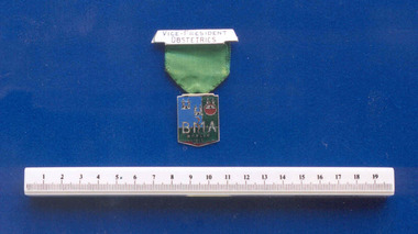 Medal - British Medical Association medal associated with Professor F J Browne, Dublin, 1933, 1933 (approximate)