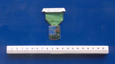 Medal - British Medical Association medal associated with Professor F J Browne, Dublin, 1933, 1933 (approximate)
