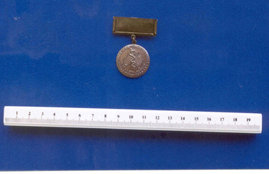 Badge - Australasian Medical Congress attendee badge associated with Professor F J Browne, 1951, 1955