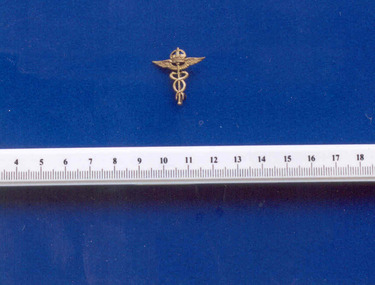 Badge - Royal Air Force (RAF) Medical Branch collar insignia worn by F J Browne, World War I, Firmin, London