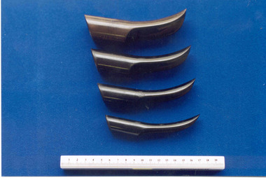 Tool - Four bakelite speculums in graded sizes, c1930