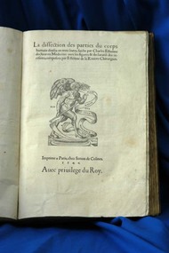 Book, Estienne, Charles, 1504-1564, La dissection des parties du corps humain diuisee en trois liures, 1546