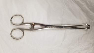 Equipment - Tissue forceps associated with Dr Felix Meyer, Mayer & Meltzer