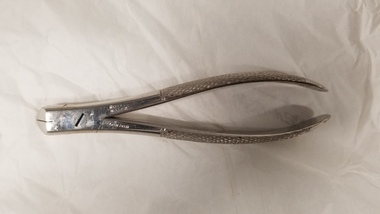 Equipment - Bone forceps associated with Dr Felix Meyer, Mayer & Meltzer