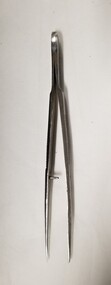 Equipment - Surgical forceps associated with Dr Lachlan Hardy-Wilson