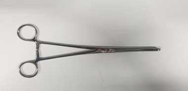 Equipment - Sponge forceps used by Dr Lachlan Hardy-Wilson