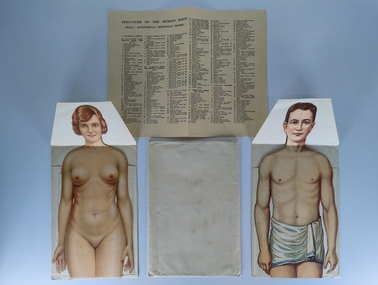 Set of two paper anatomical cut-outs, c. 1920s-1930s