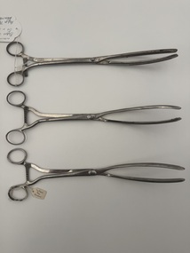 Instrument - Champetier De Ribes Forceps