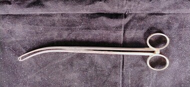Instrument - Curved tissue forceps associated with Dr Felix Meyer, Mayer & Meltzer