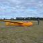Yellow glider in field