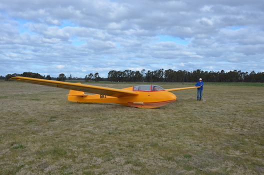 Yellow glider in field