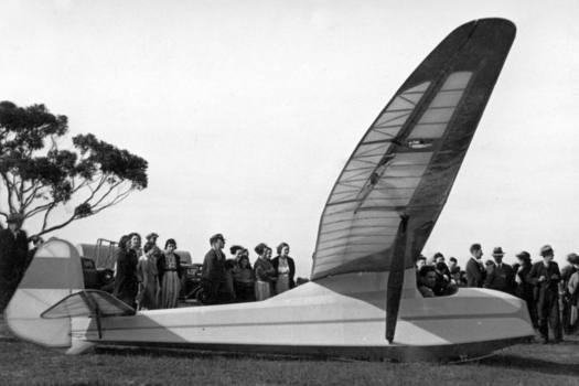 Glider with a crowd of people in background