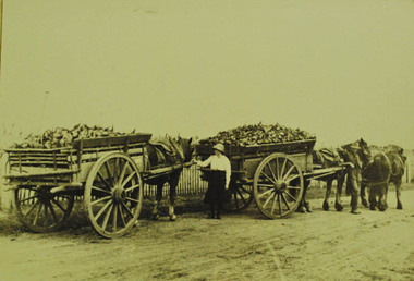 Photograph