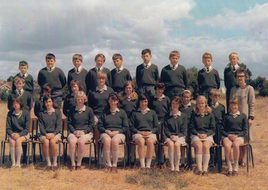 Photograph - Newcomb High School 1969 Class 1A, 1969 - Class 1A