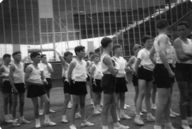 Photograph - Geelong East Technical School 1958 Inter School Sports Olympic Park Melbourne