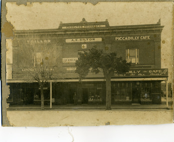 Triple fronted, two storey brick building. Signage shows Charlton Pharmacy top centre of upper storey, A.E. Bilton,(Chemist) J.H. Knight (Dentist), T. Dillon on LH side and Piccadilly Cafe on RH side.