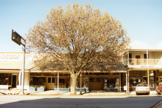 Tippett's Clothing and Furniture shop, and Ross's Gifts and Plants. Large tree in front of Tippett's. Tippett's shop two entrances, both with double doors.