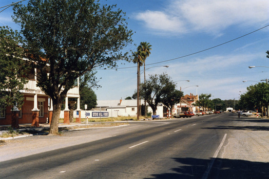 Cricket Club Hotel with a large tree in front of the building. Blue and white signage for Steve Hill Ford with two palm trees at the front. Cars parked along street.