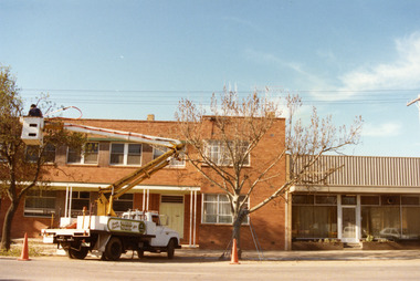 Two storey red brick building. Signage on the windows reads SOIL CONSERVATION AUTHORITY. A man on a cherry picker in front of building trimming a tree.