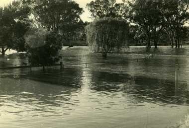 Photograph, Charlton Tribune, Flood Gordon Park, 09/02/1973