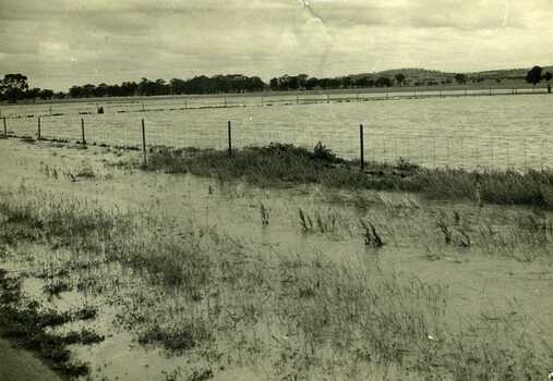 1971 flood at Charlton. Padocks and roadside along Calder Highway.