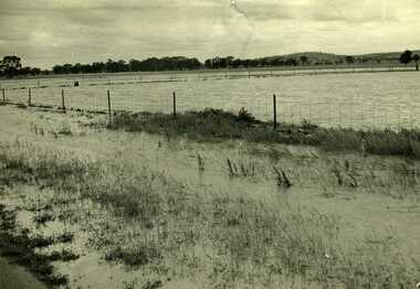 1971 flood at Charlton. Padocks and roadside along Calder Highway.