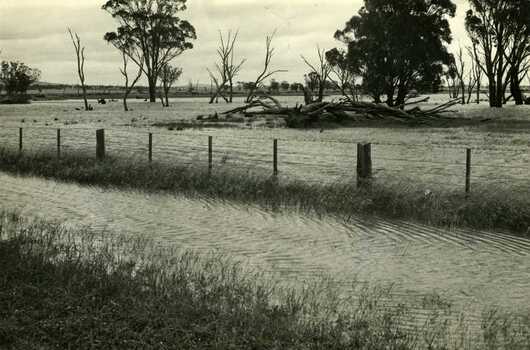 1971 flood Charlton, Victoria. Paddocks and roadside along Calder Highway.