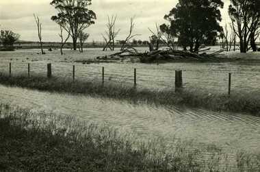 Photograph, B/W photograph of 1971 flood