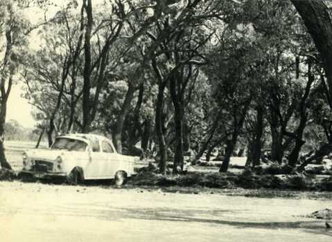 Carol Thomas' car washed off the read by the strong current at the sheep wash on the Boort Road.