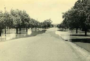Photograph, 1973 Flood High Street Charlton