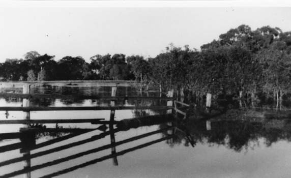 Flooded paddocks with post and railing fence