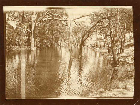 Avoca River 1907, Both banks are lined with trees. Dead trees in water.
