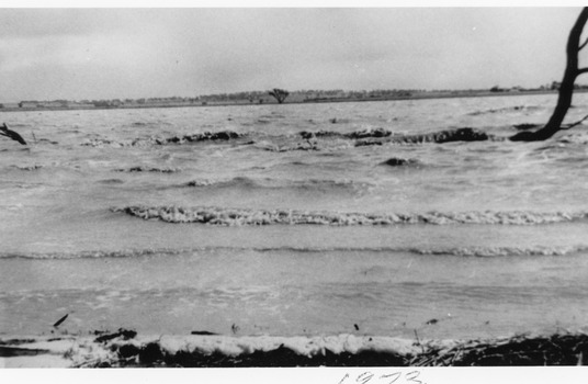 Rough water in a flooded lake with dead trees in the water.