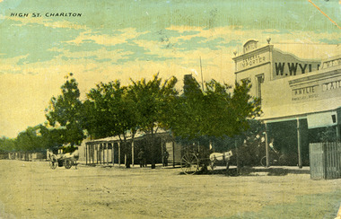 Street front view showing W, Wylie's store in main street of Charlton