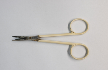 Domestic object - Nail Scissors