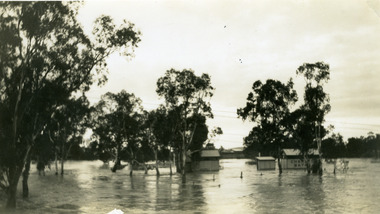 Photograph - Avoca River in flood 1939, 1939