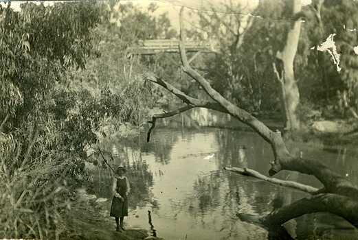 Wooden rail/road bridge over the Avoca River