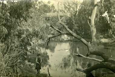 Wooden rail/road bridge over the Avoca River