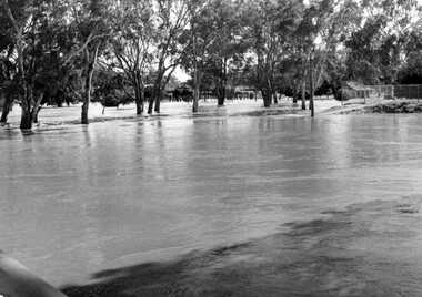 Photograph - 1973 Flood Gordon Park, 01/05/2008