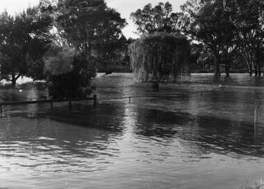 Photograph - 1973 Flood Gordon Park, 01/05/2008