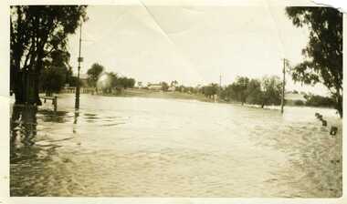 Photograph - 1933 Flood Streetscape looking towards Clifton Hill, 01/05/2008